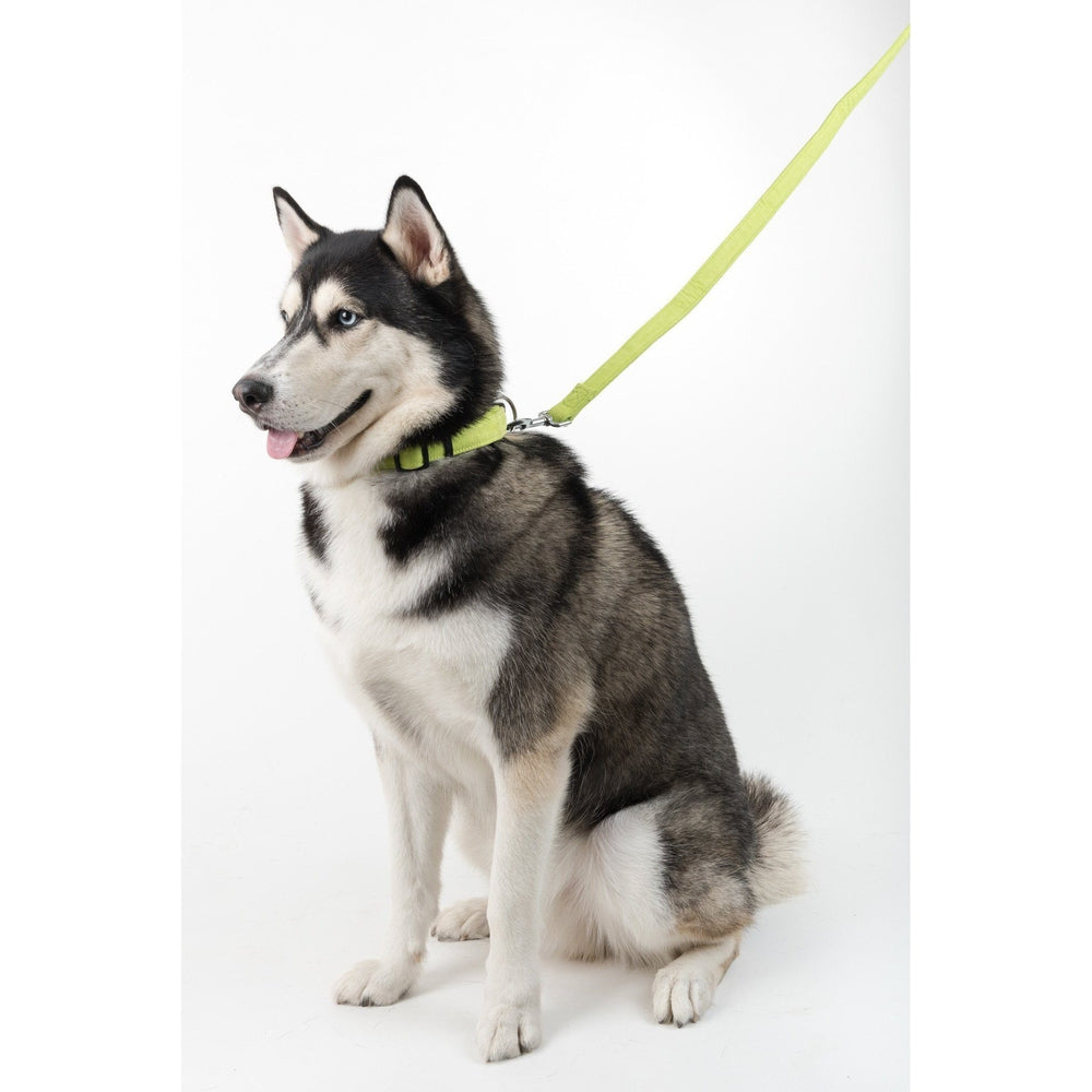 Dogline Comfort Microfiber Flat Collar