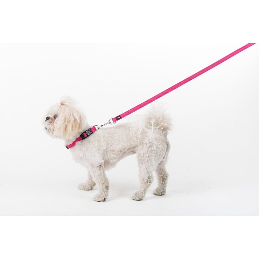 Dogline Comfort Microfiber Flat Collar