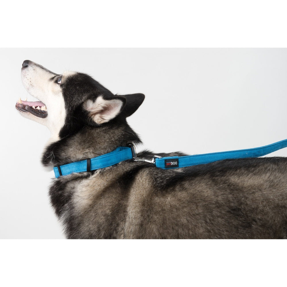 Dogline Comfort Microfiber Flat Collar