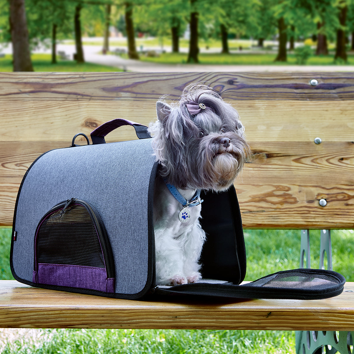 Dogline Dual Color Collapsible Pet Carrier