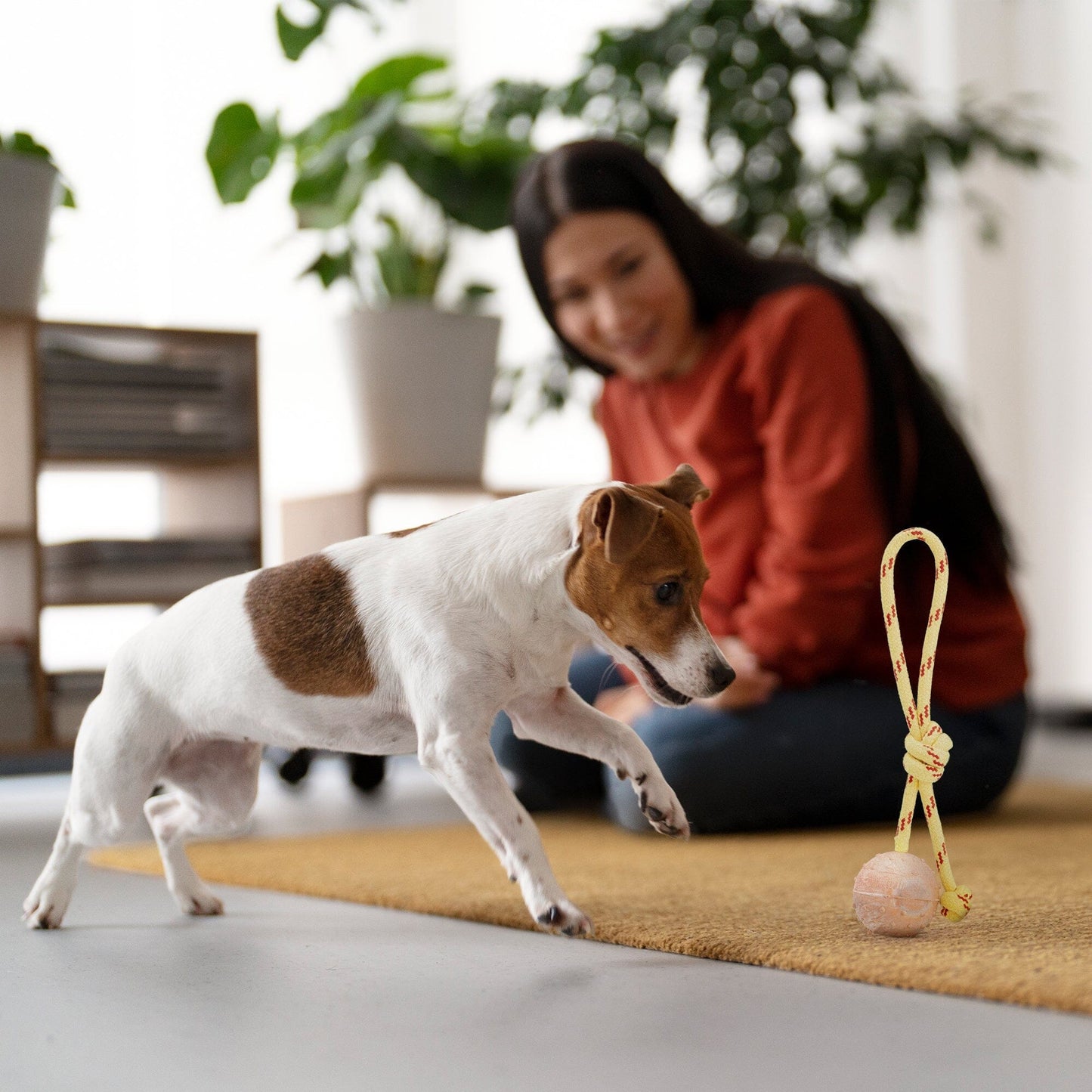 Dogline FDT Rubber Dog Ball on Rope, Small - Diameter 2" (5 cm)