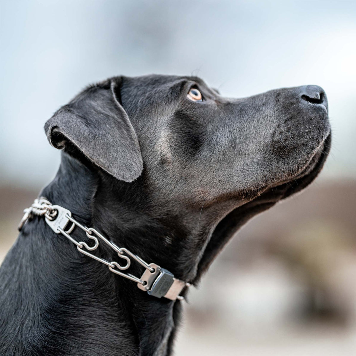 Dogline Herm Sprenger - ClicLock Quick Release Buckle - Stainless Steel