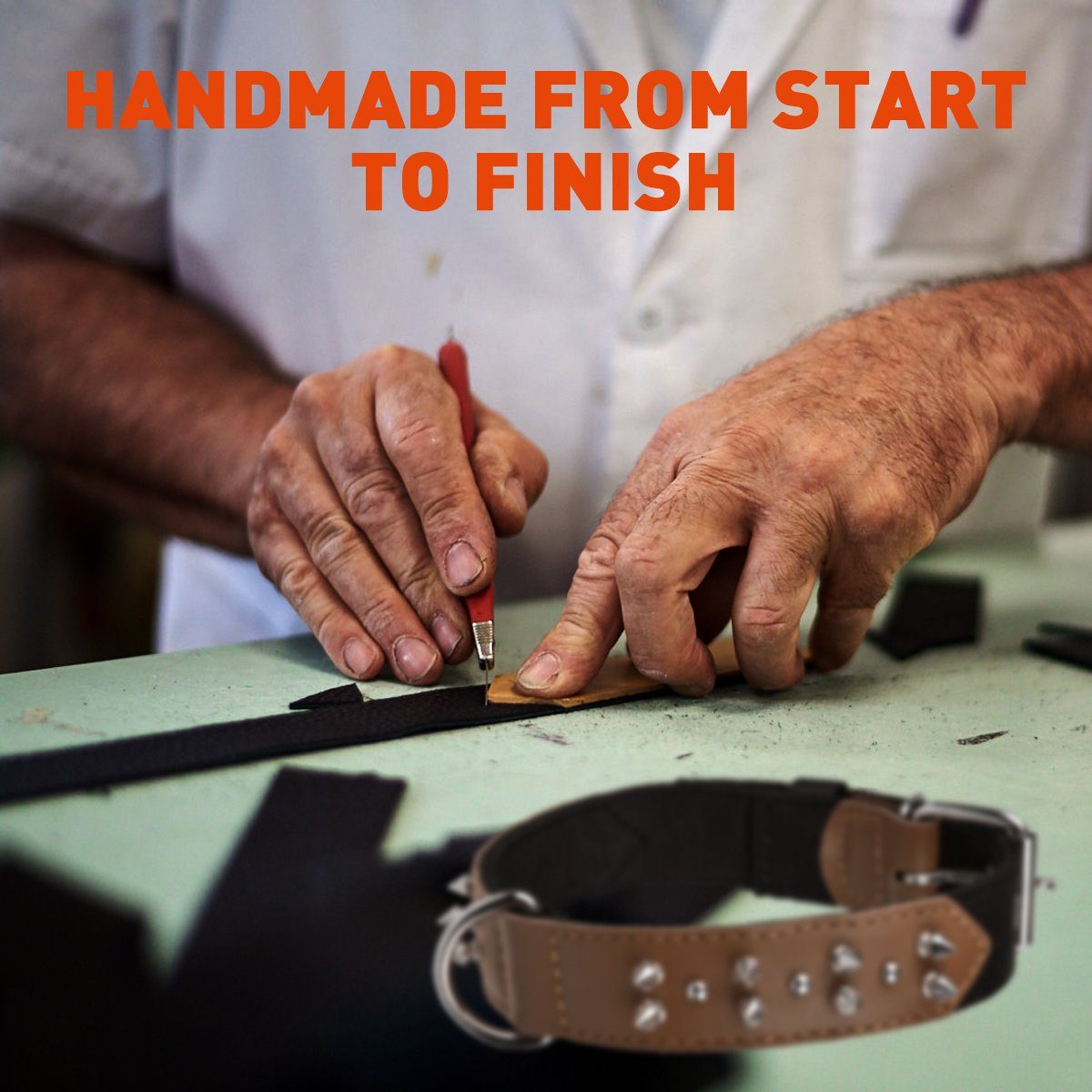 Dogline Leather + Nylon Spike Collar