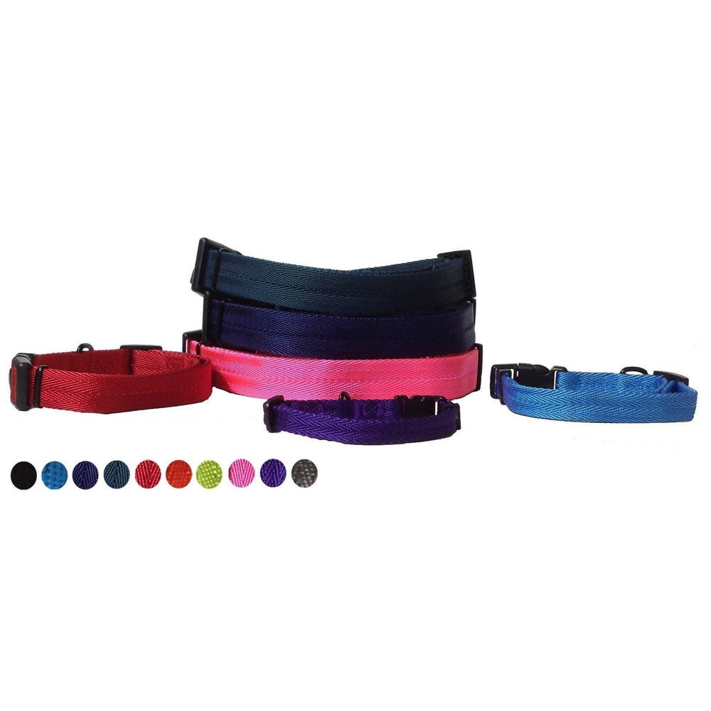 Dogline Nylon Flat Collar