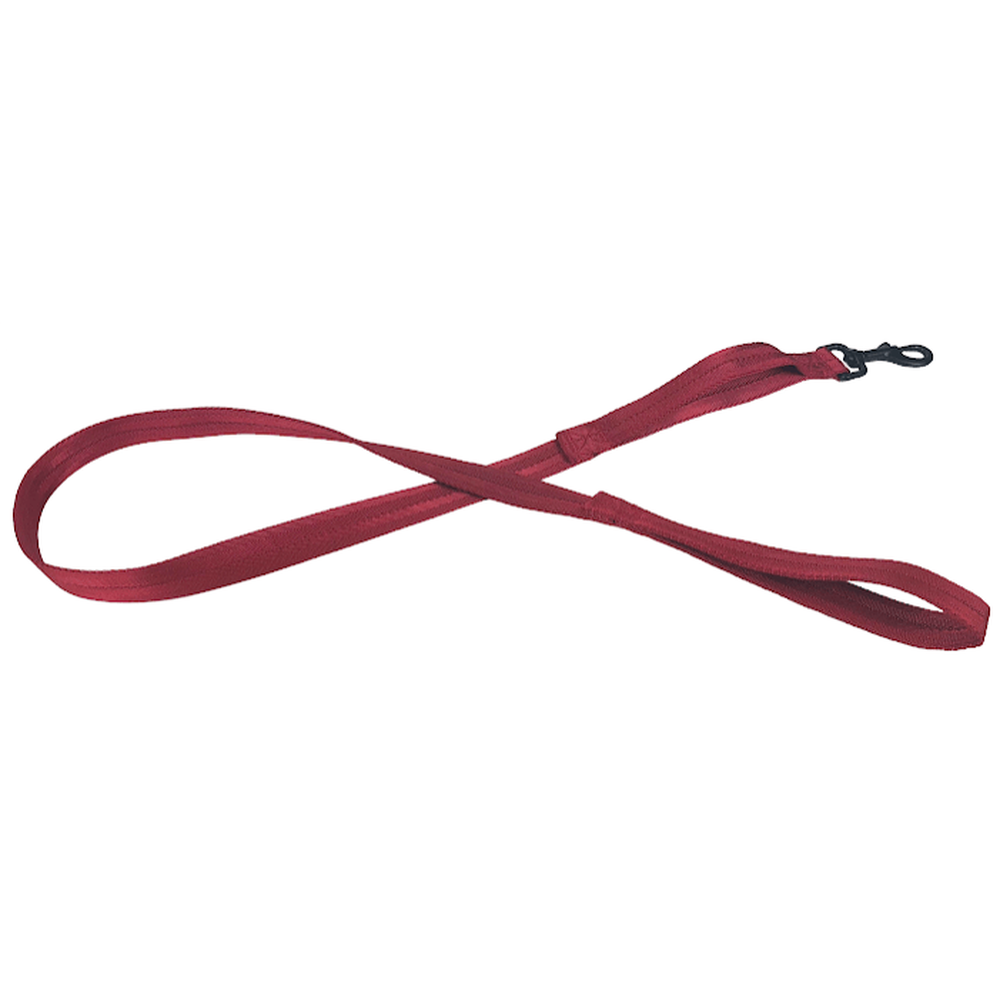 Dogline Nylon Flat Leash + Built-in Traffic Handle