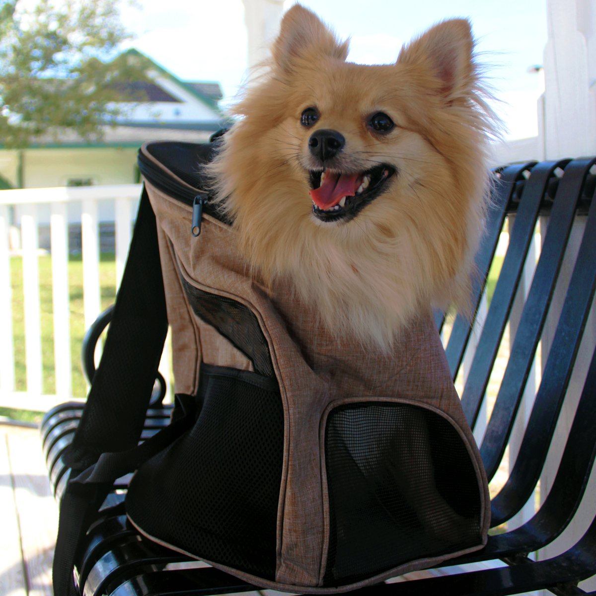 Dogline Pet Carrier Pack