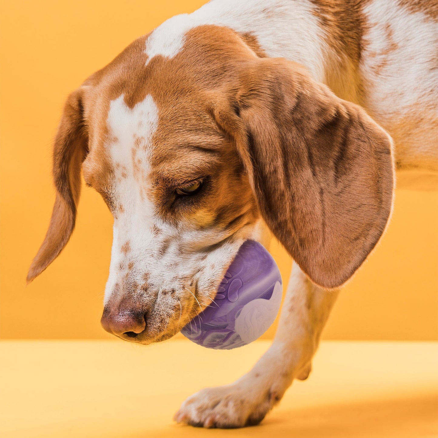 Dogline Rubber Euro Ball