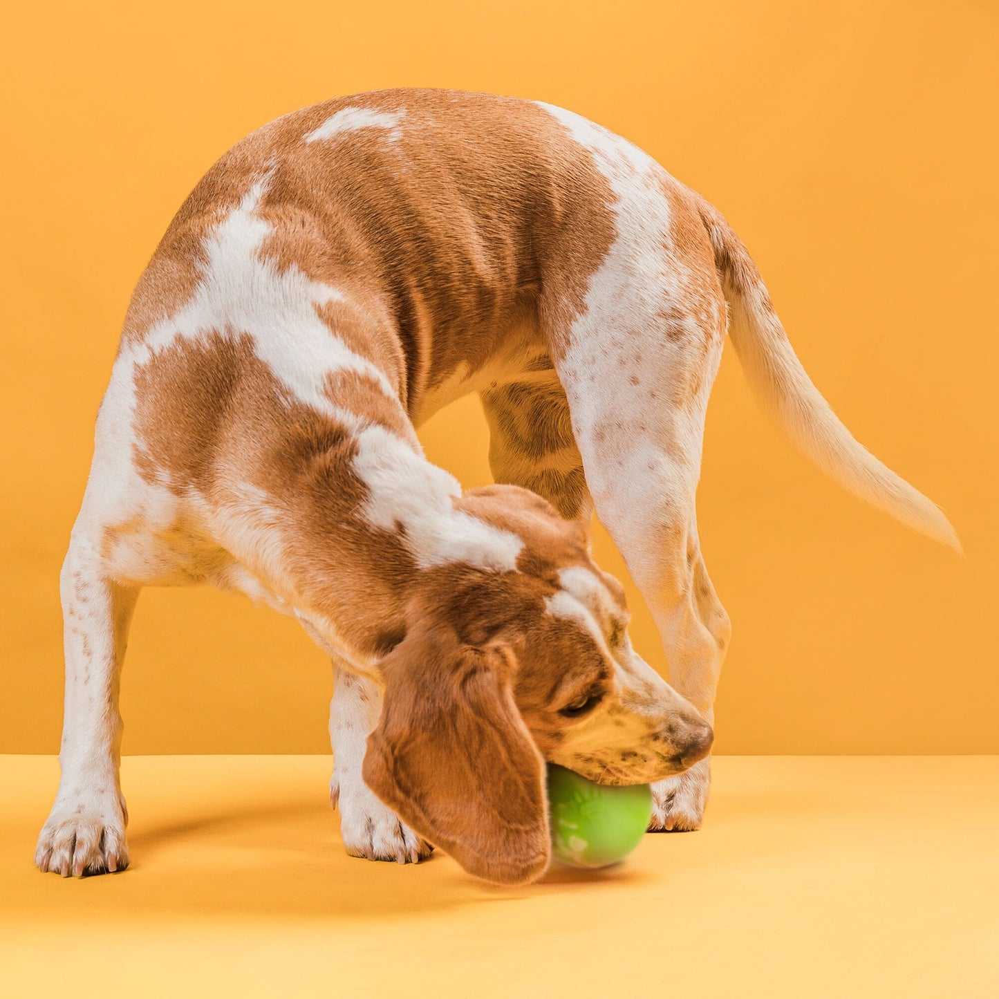 Dogline Rubber Euro Ball