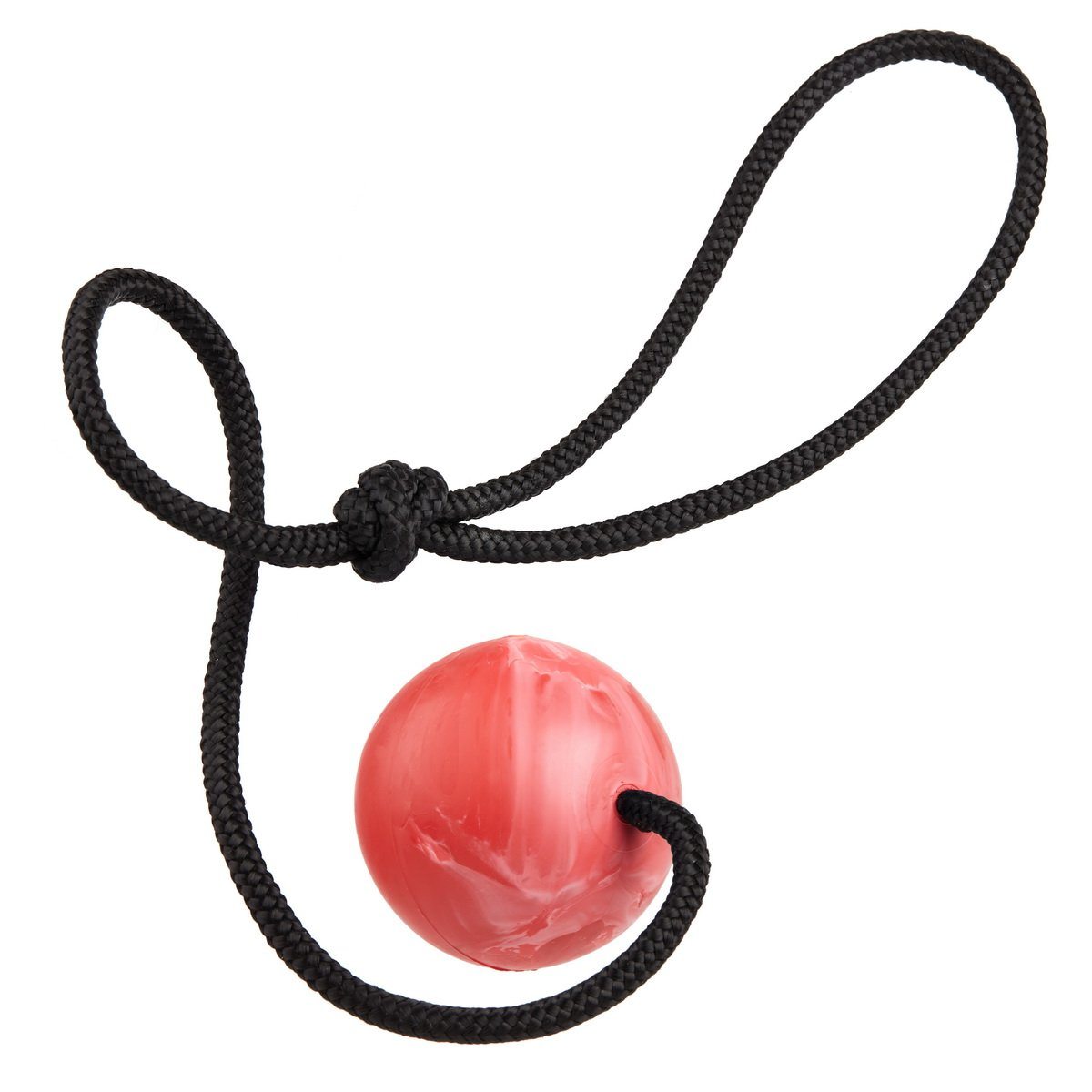 Dogline Rubber Euro Ball with Rope