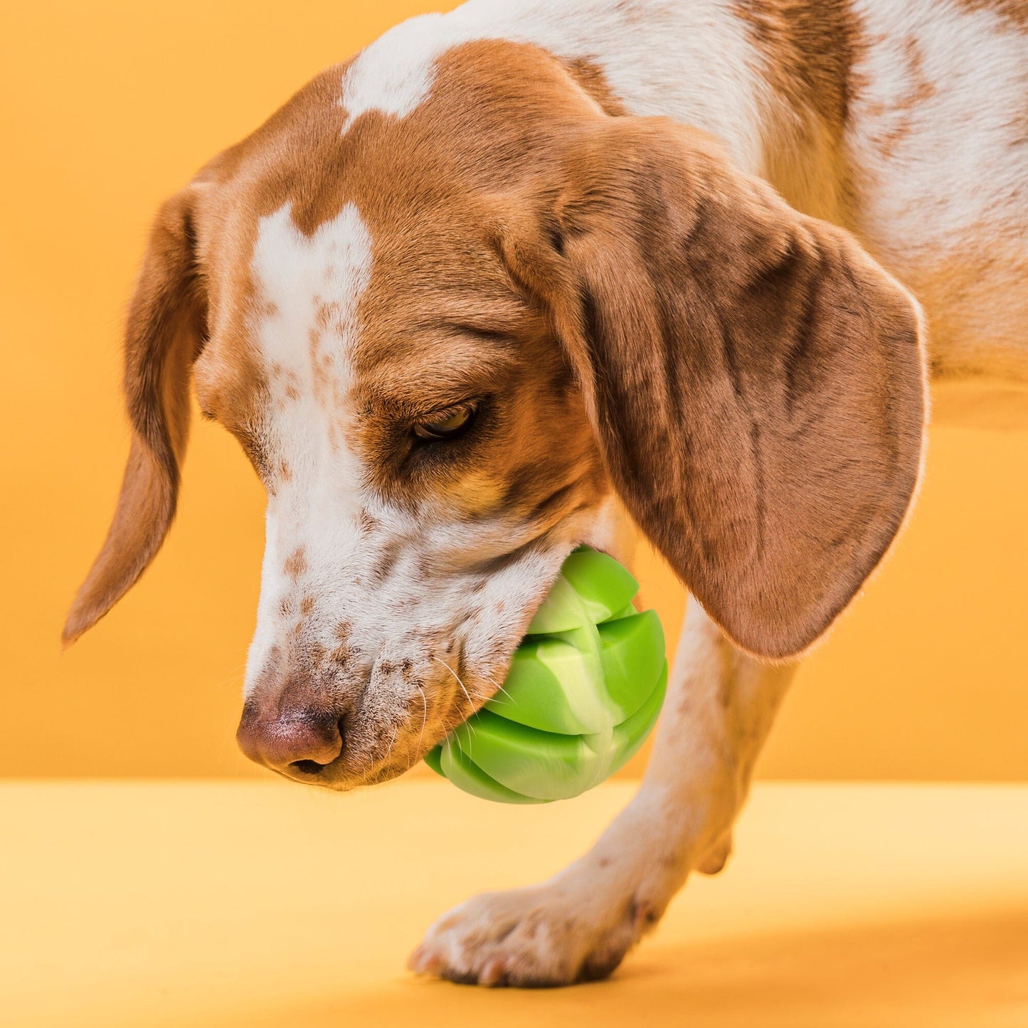 Dogline Rubber Spiral Ball