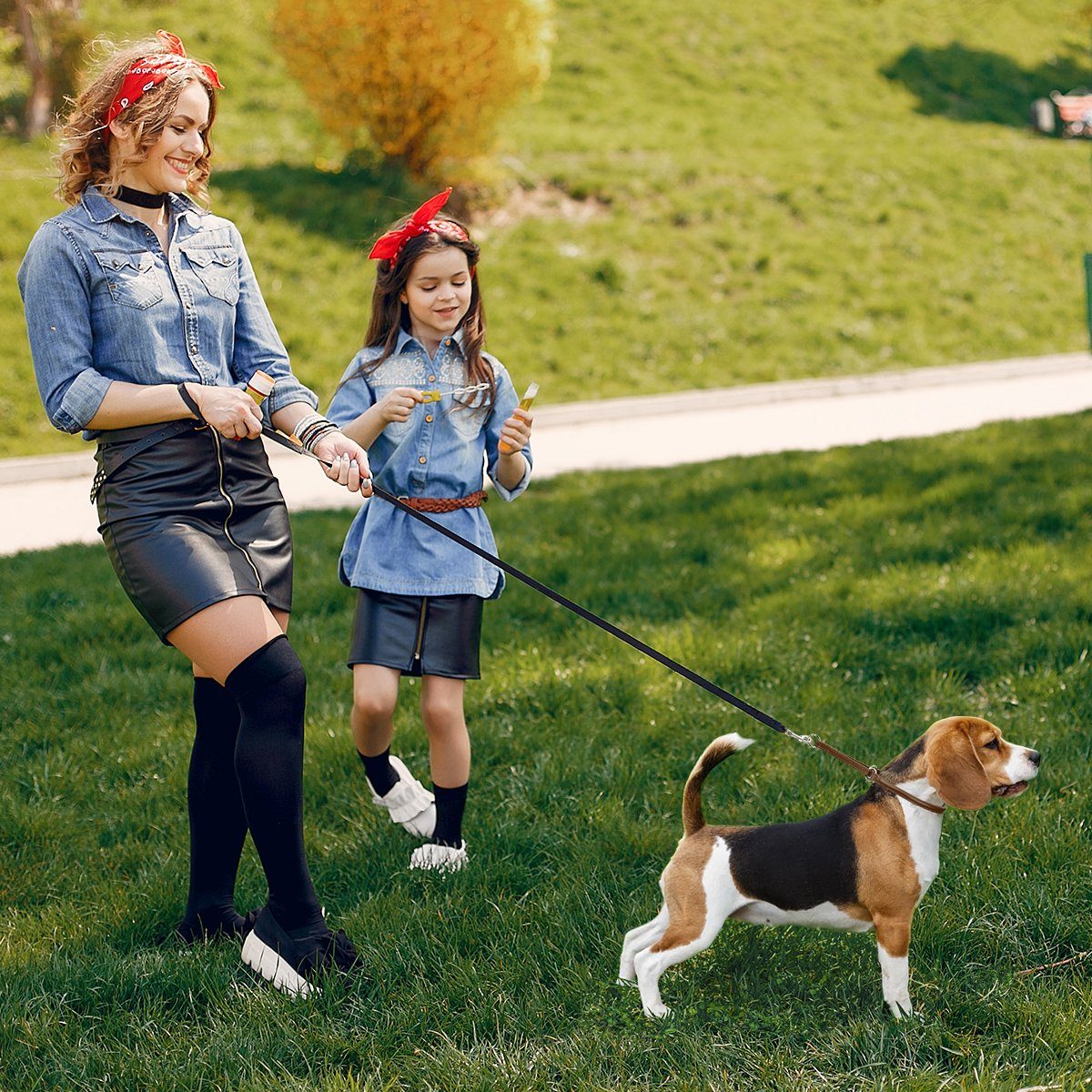 Dogline Soft Leather Round Martingale Collar