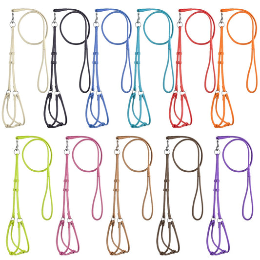 Dogline Soft Leather Round Step-In Harness + Round Lead