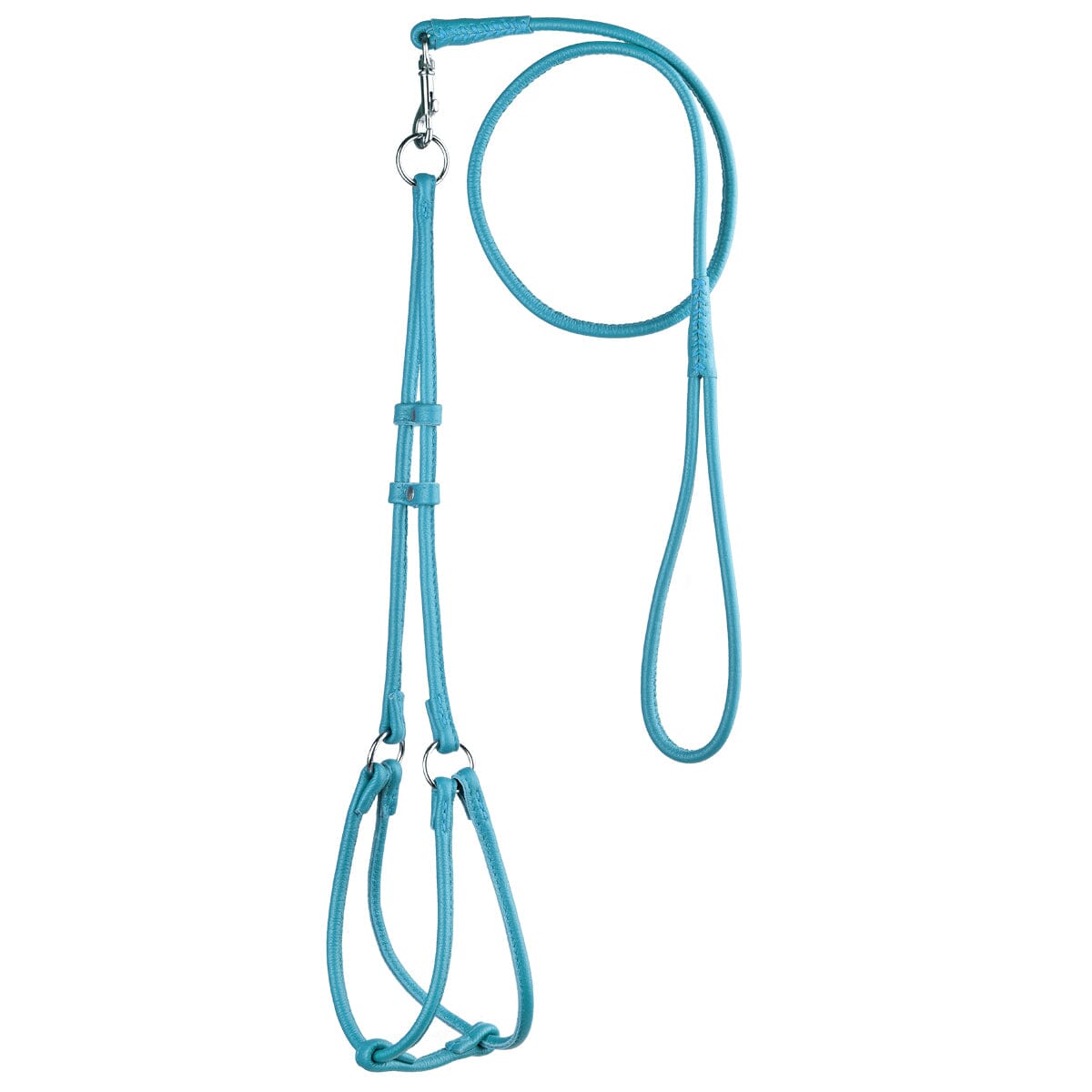 Dogline Soft Leather Round Step-In Harness + Round Lead