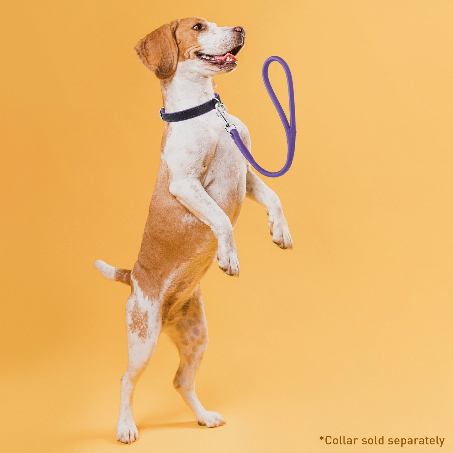 Dogline Soft Leather Round Traffic Lead