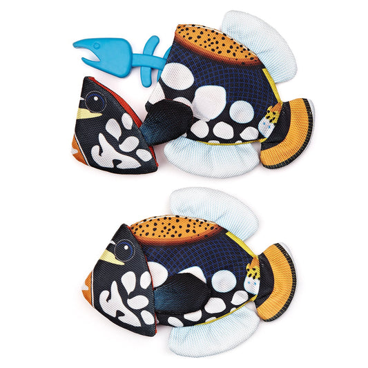 Dogline Tropical Crinkle + Bone Emperor Angelfish