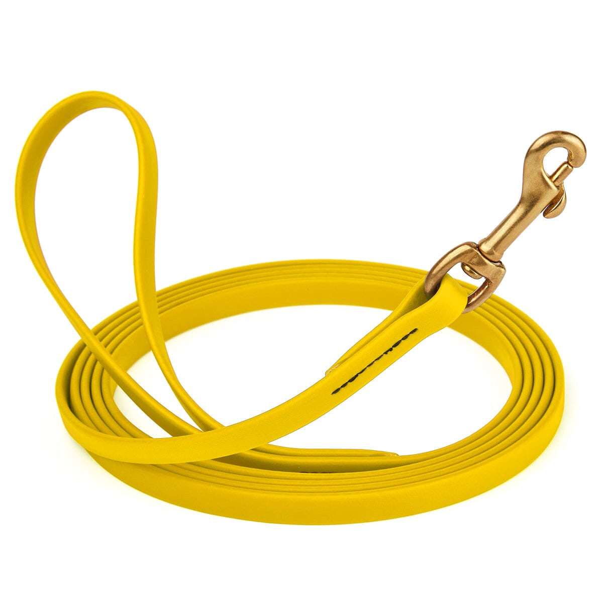 Dogline Viper Biothane Long Line 10 ft Lead with Brass Hardware