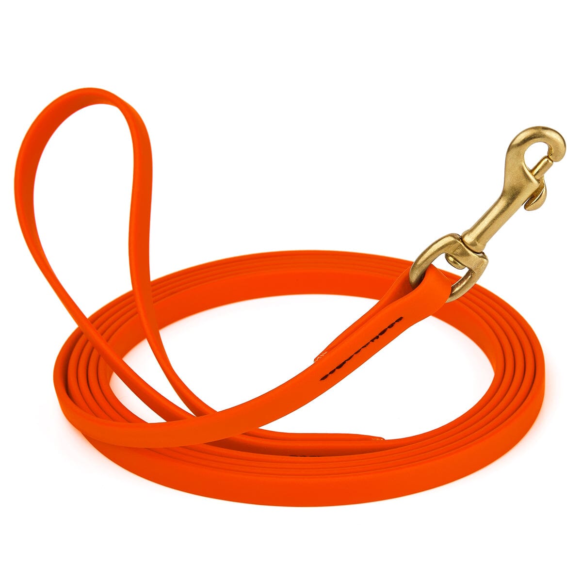 Dogline Viper Biothane Long Line 10 ft Lead with Brass Hardware