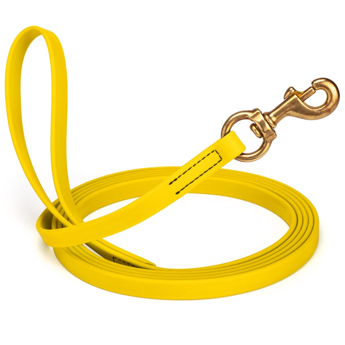 Dogline Viper Biothane Long Line 10 ft Lead with Brass Hardware