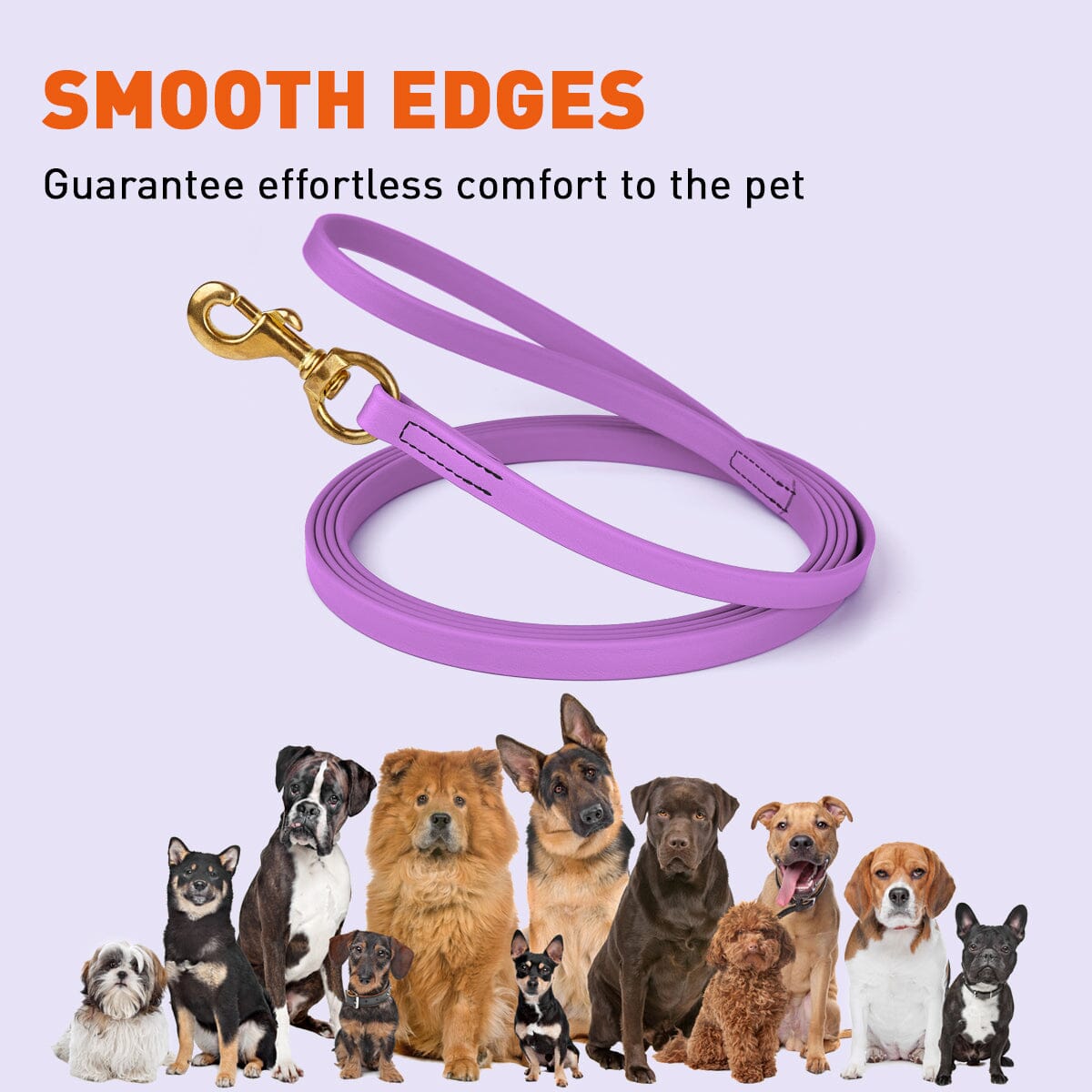 Dogline Viper Biothane Long Line 10 ft Lead with Brass Hardware