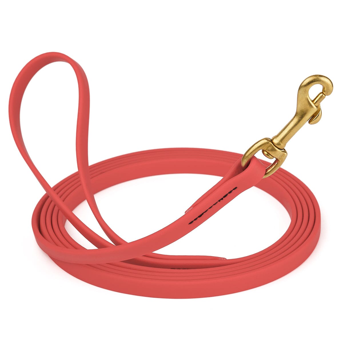 Dogline Viper Biothane Long Line 10 ft Lead with Brass Hardware