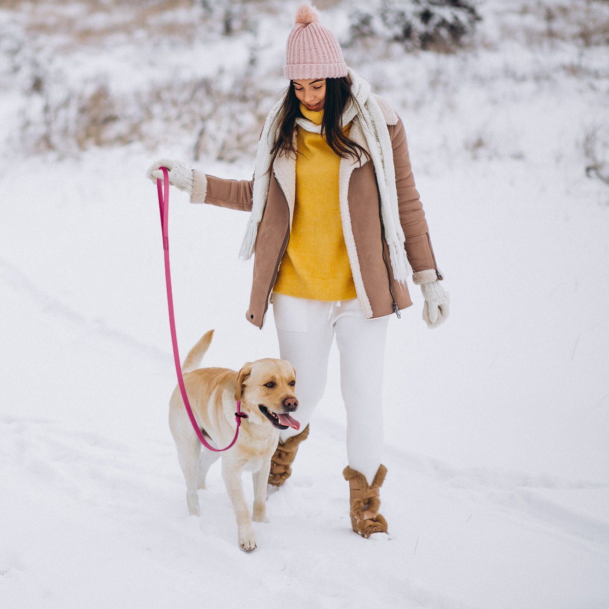 Dogline Viper Biothane Long Line 15 ft Lead with Brass Hardware