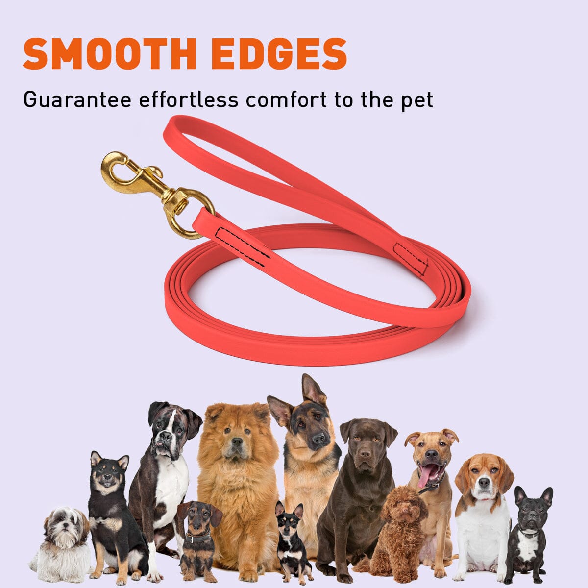 Dogline Viper Biothane Long Line 20 ft Lead with Brass Hardware