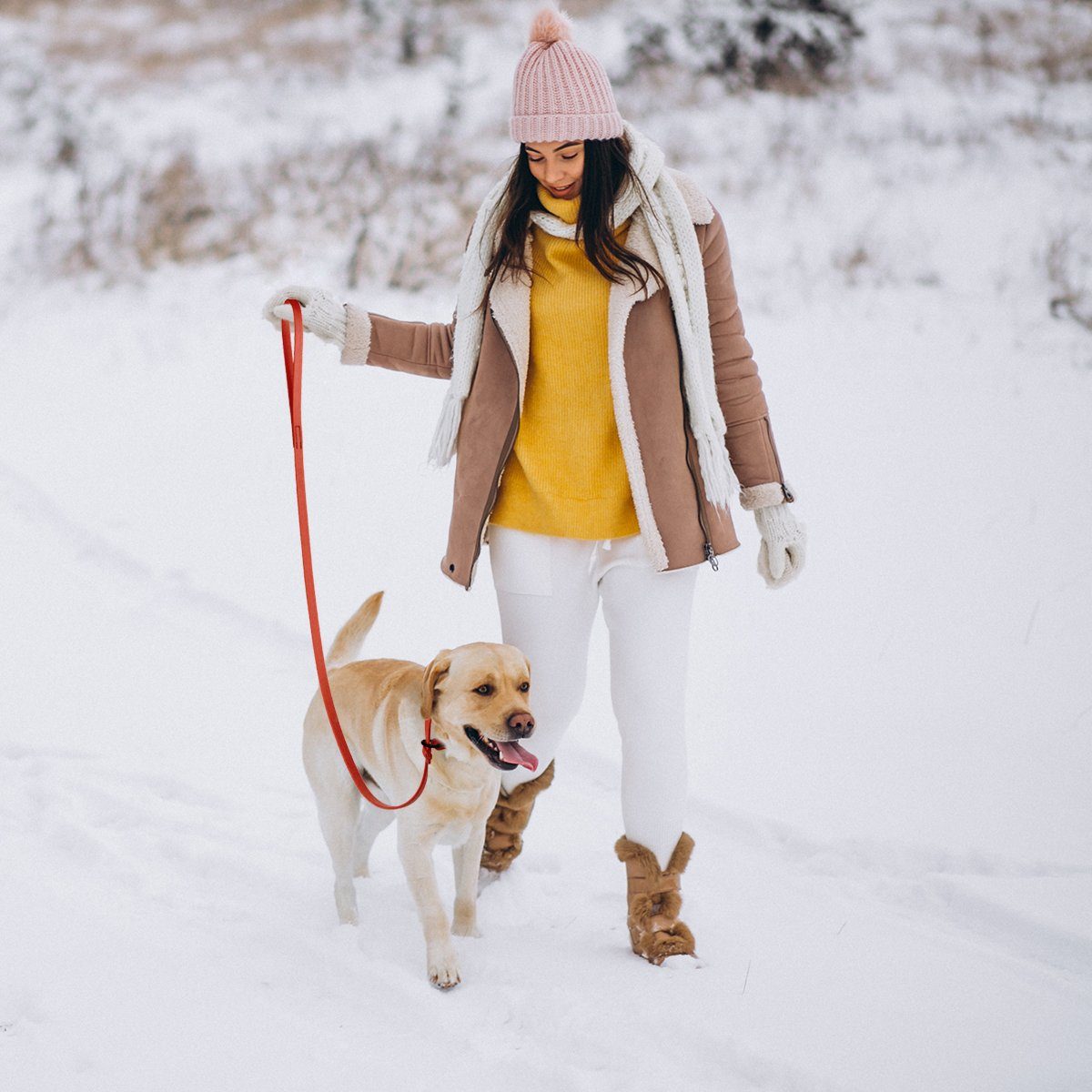 Dogline Viper Biothane Long Line 20 ft Lead with Brass Hardware