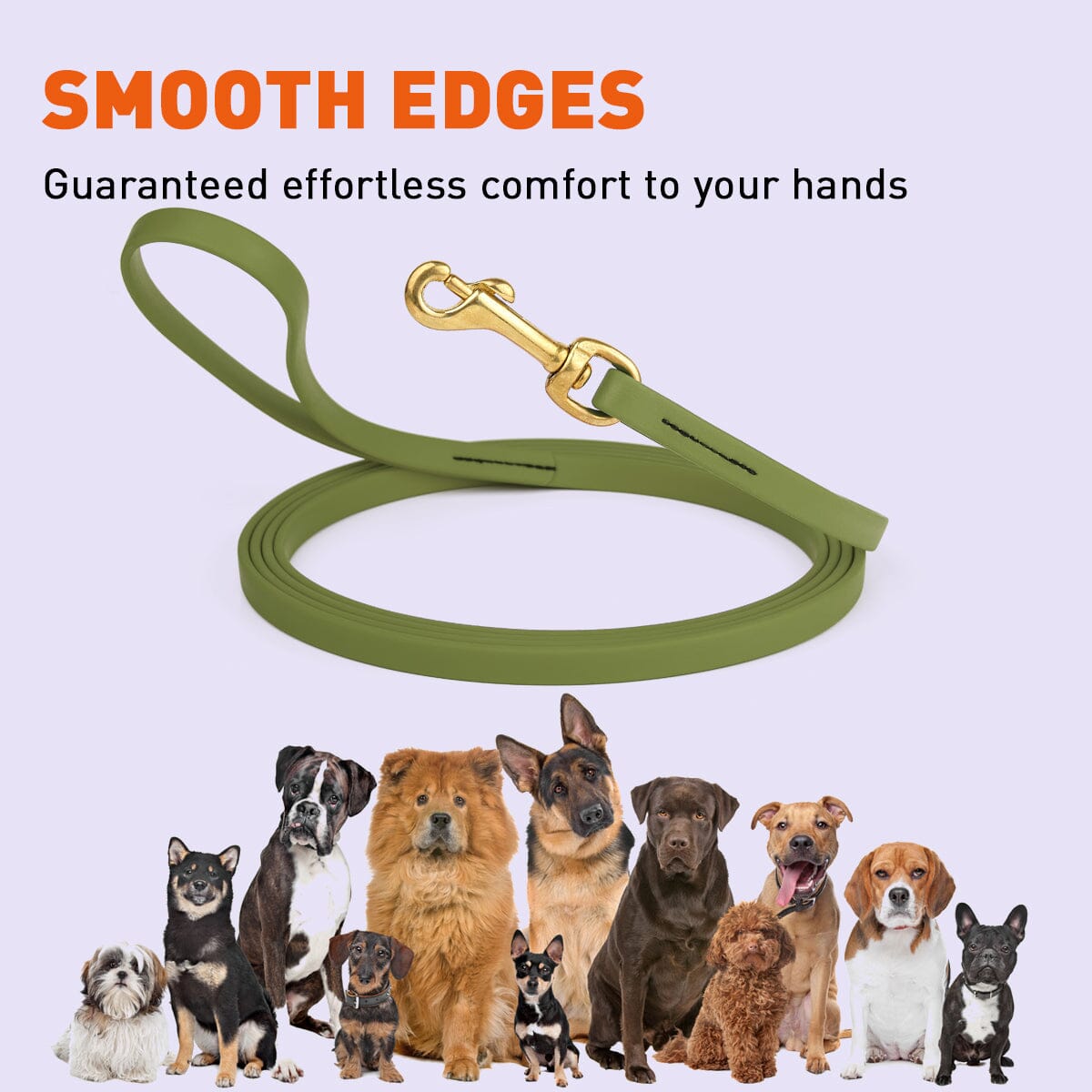 Dogline Viper Biothane Long Line 33 ft Lead with Brass Hardware