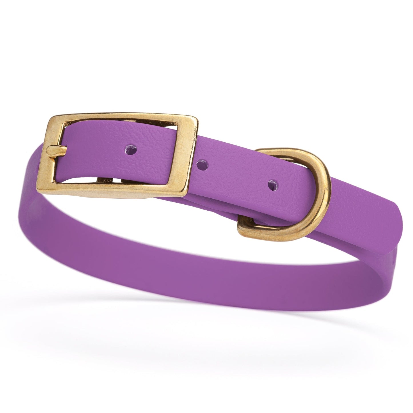 Dogline Viper Biothane Waterproof Dog Collar - Brass Hardware - Size S (12" - 15")