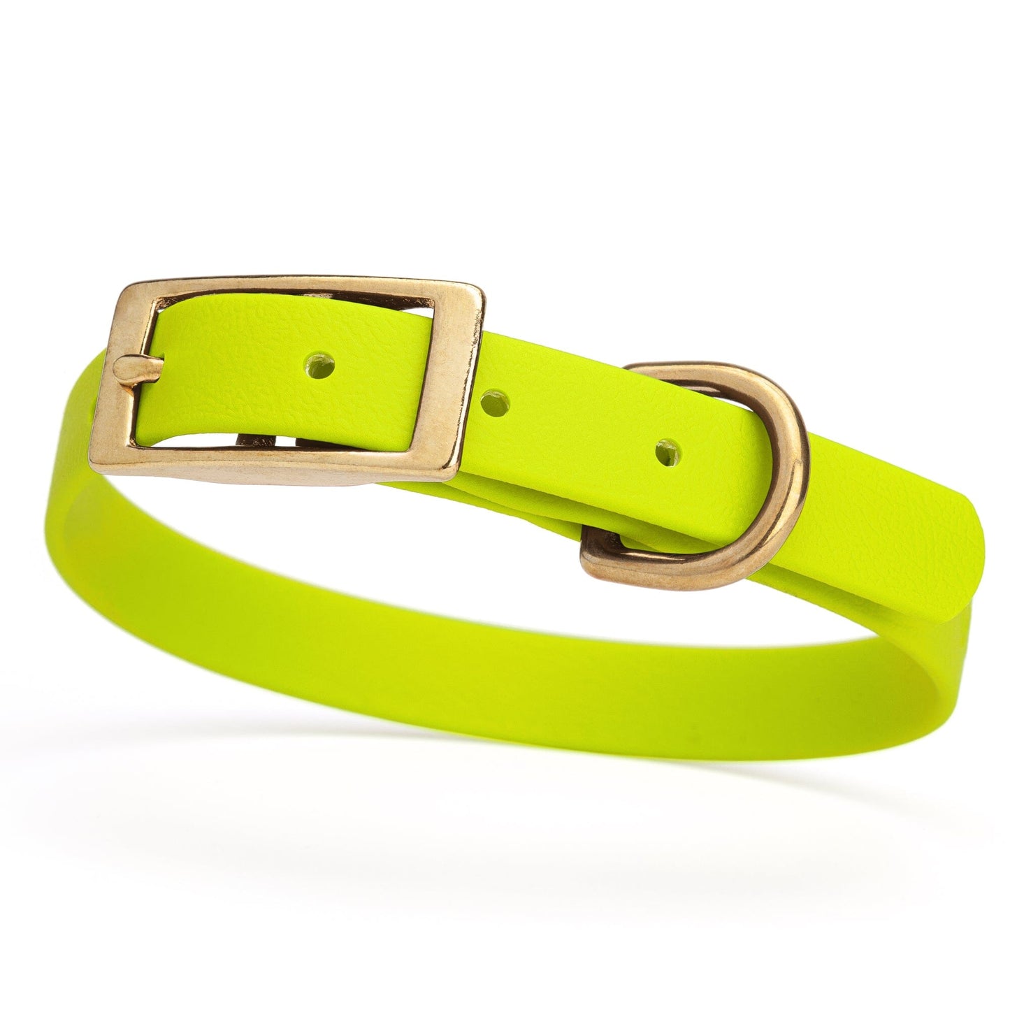 Dogline Viper Biothane Waterproof Dog Collar - Brass Hardware - Size S (12" - 15")