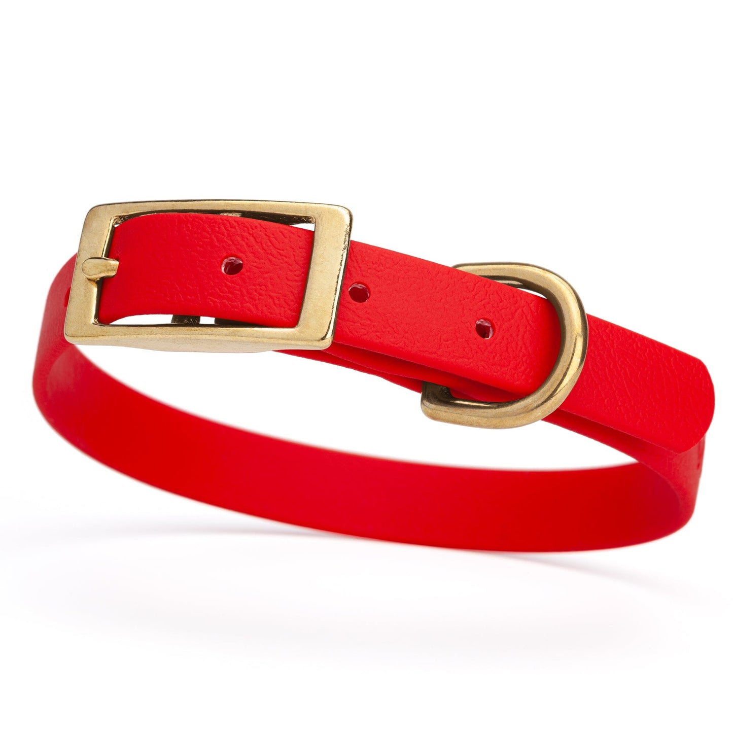 Dogline Viper Biothane Waterproof Dog Collar - Brass Hardware - Size S (12" - 15")