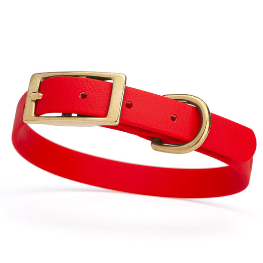 Dogline Viper Biothane Waterproof Dog Collar - Brass Hardware - Size S (12" - 15")