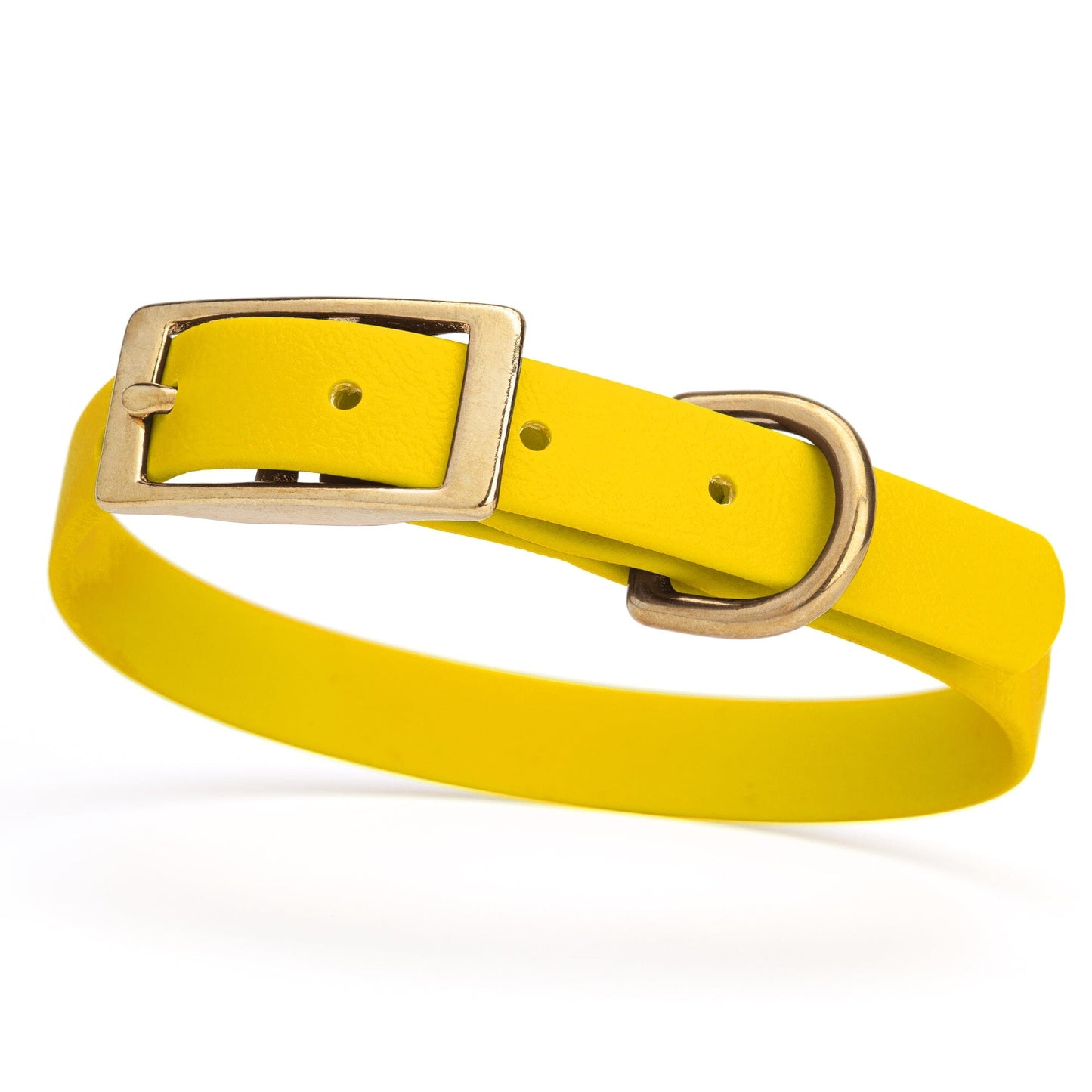Dogline Viper Biothane Waterproof Dog Collar - Brass Hardware - Size S (12" - 15")