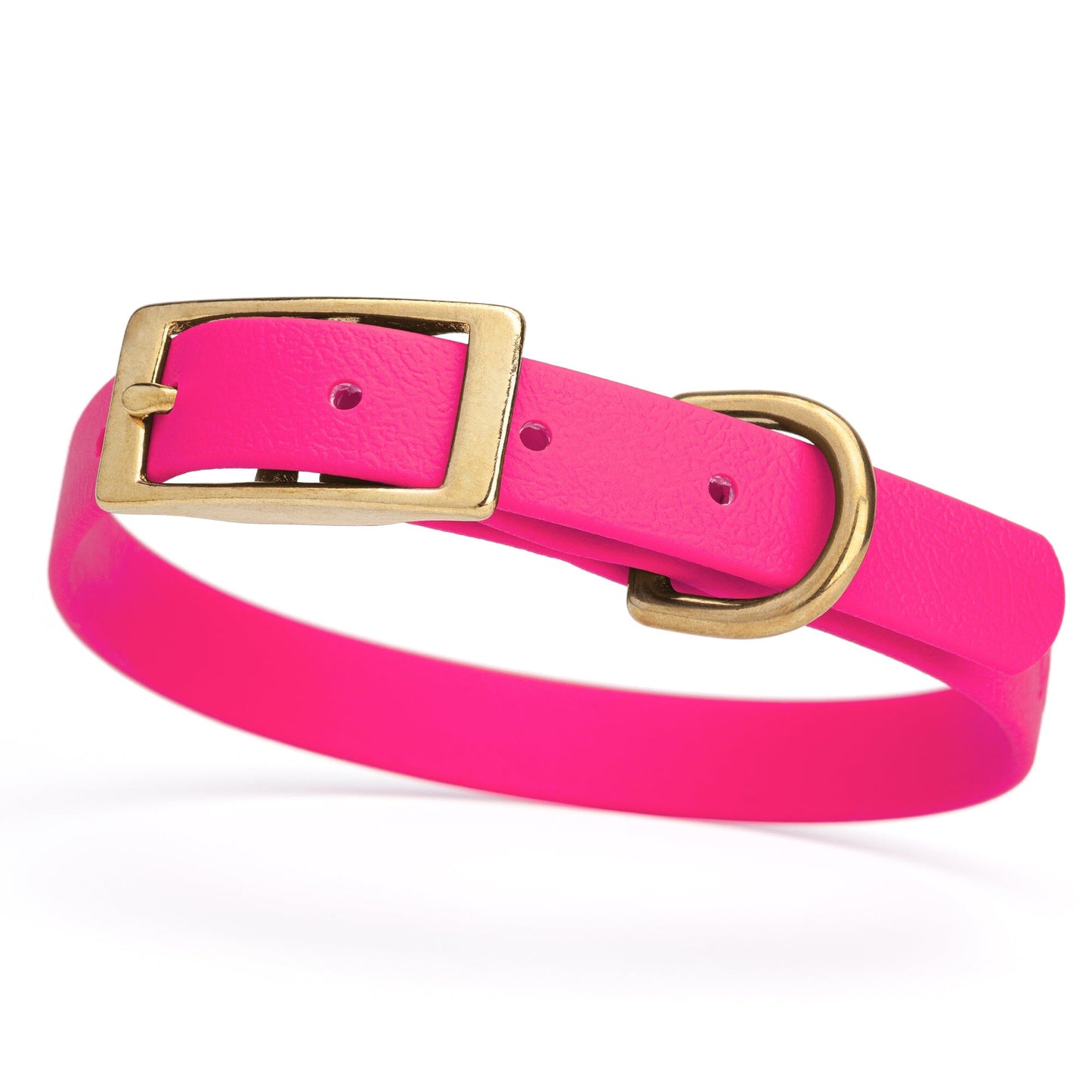 Dogline Viper Biothane Waterproof Dog Collar - Brass Hardware - Size S (12" - 15")