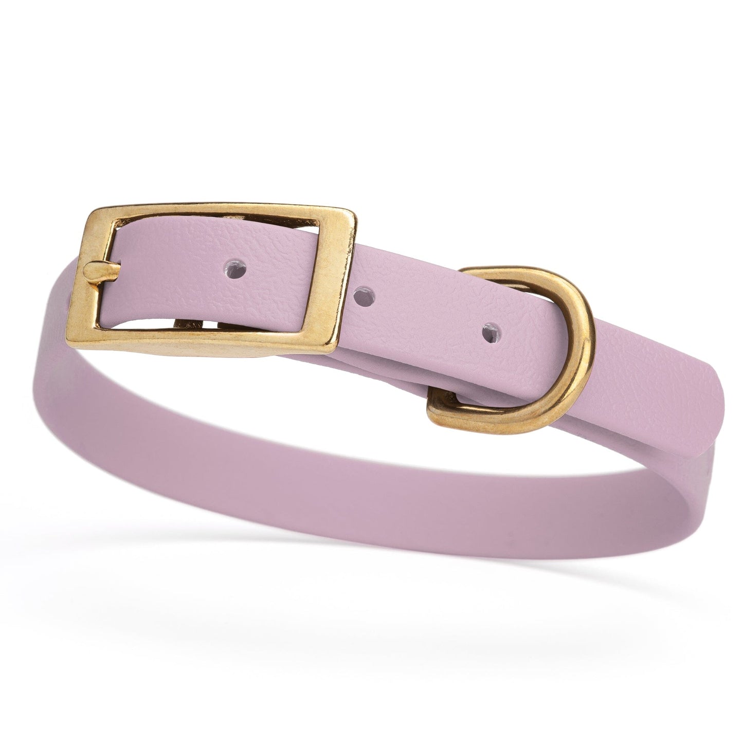 Dogline Viper Biothane Waterproof Dog Collar - Brass Hardware - Size S (12" - 15")