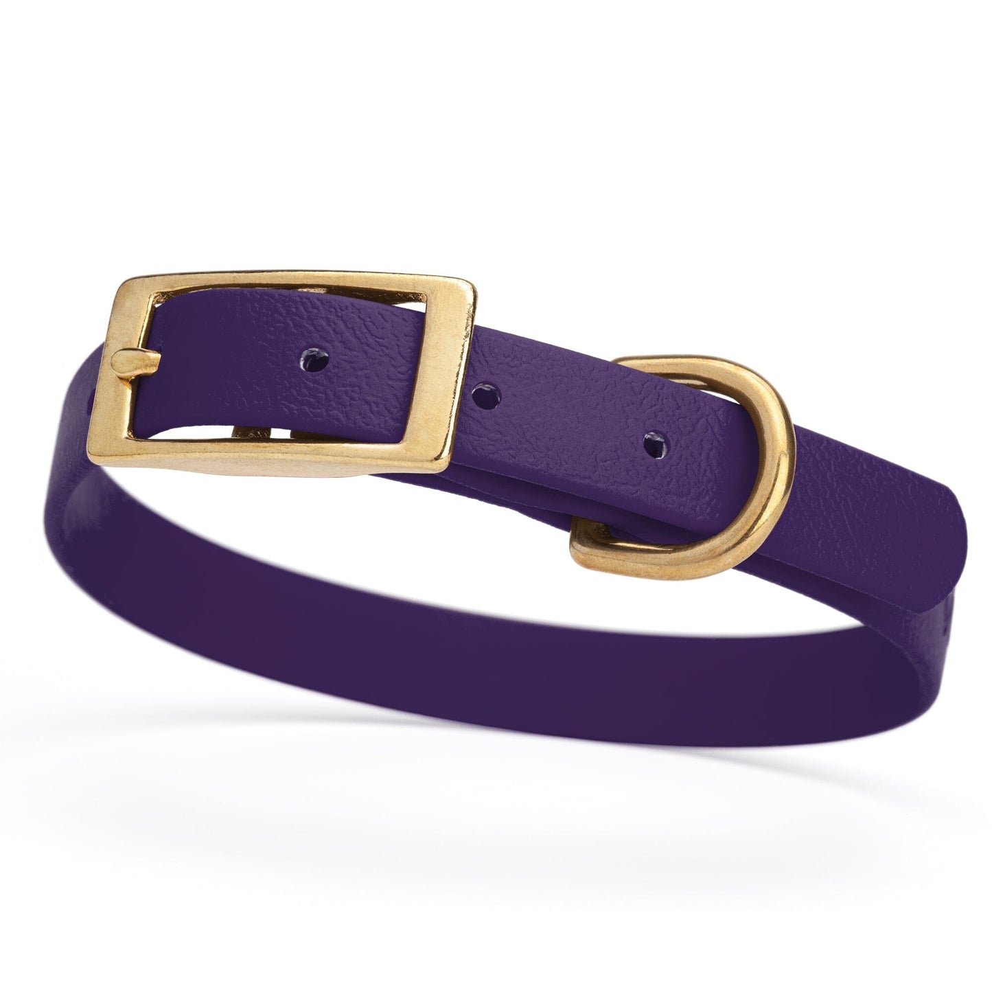 Dogline Viper Biothane Waterproof Dog Collar - Brass Hardware - Size S (12" - 15")