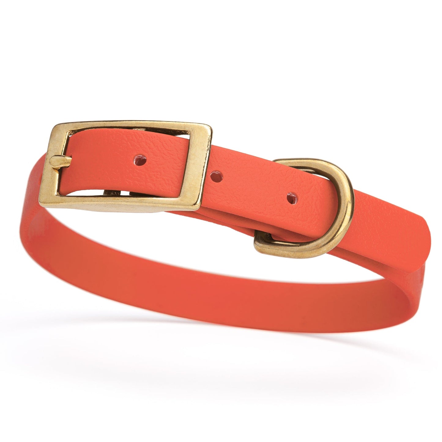 Dogline Viper Biothane Waterproof Dog Collar - Brass Hardware - Size S (12" - 15")