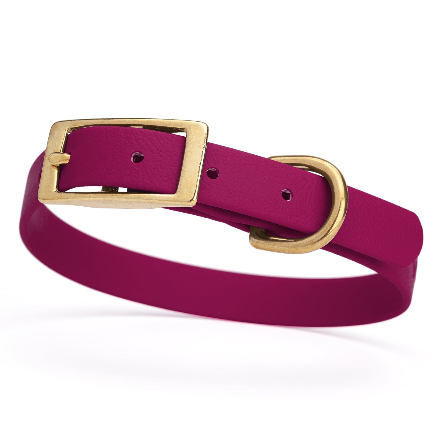 Dogline Viper Biothane Waterproof Dog Collar - Brass Hardware - Size S (12" - 15")