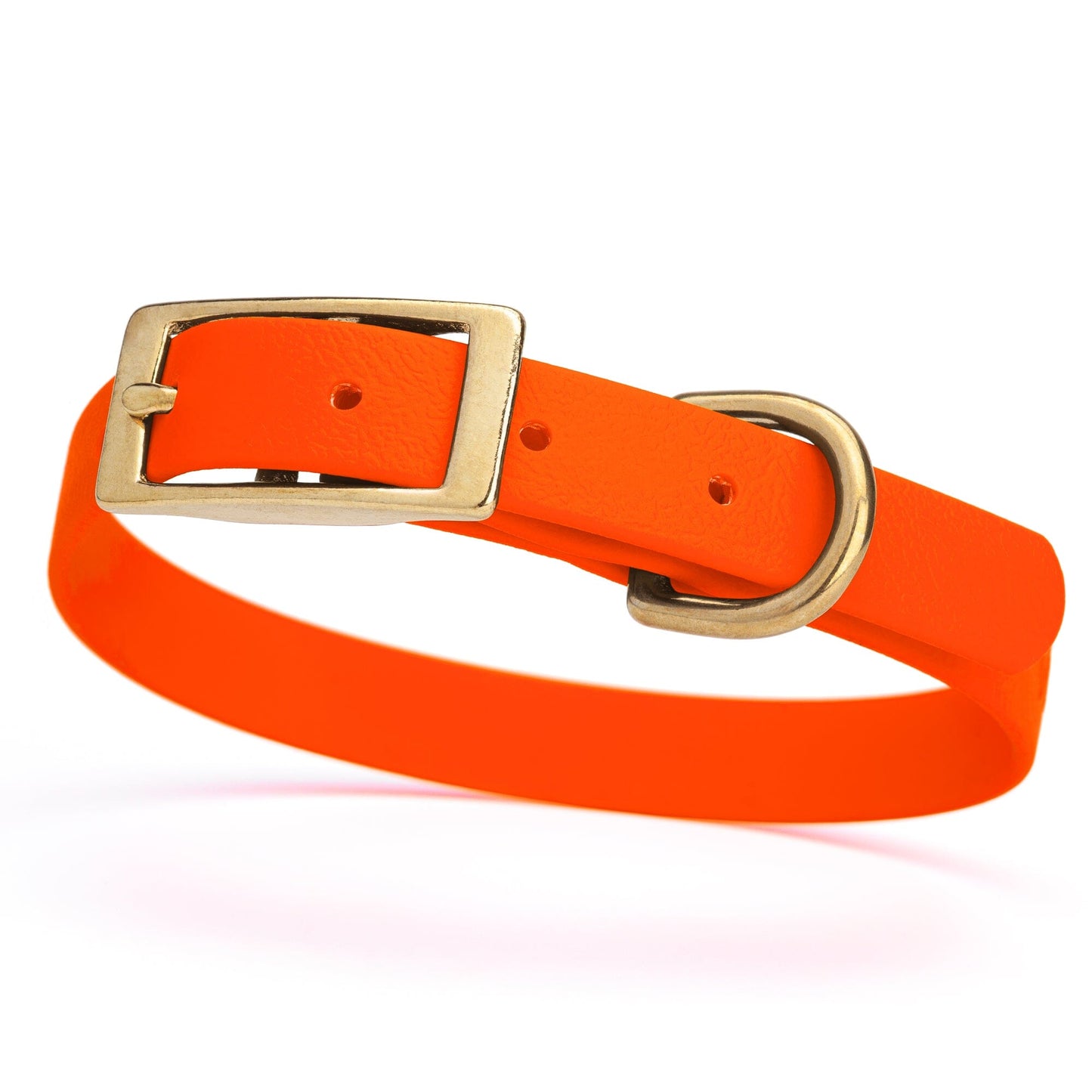 Dogline Viper Biothane Waterproof Dog Collar - Brass Hardware - Size S (12" - 15")