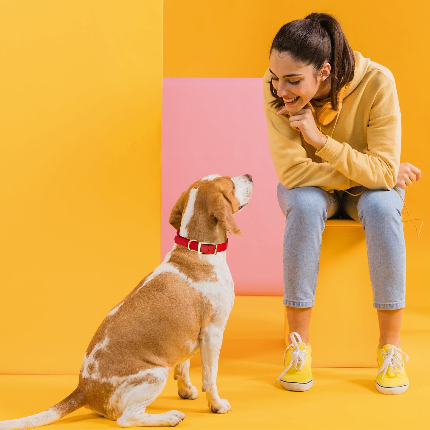 Dogline Viper Biothane Waterproof Dog Collar - Brass Hardware - Size XL (22" - 25")