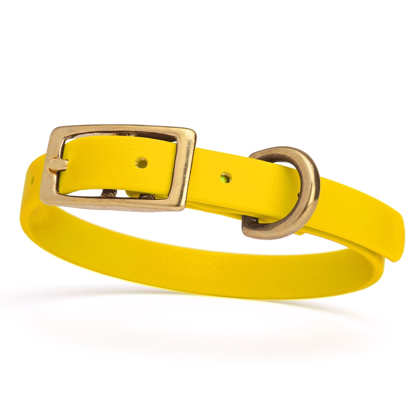 Dogline Viper Biothane Waterproof Dog Collar - Brass Hardware - Size XS (9" - 12")