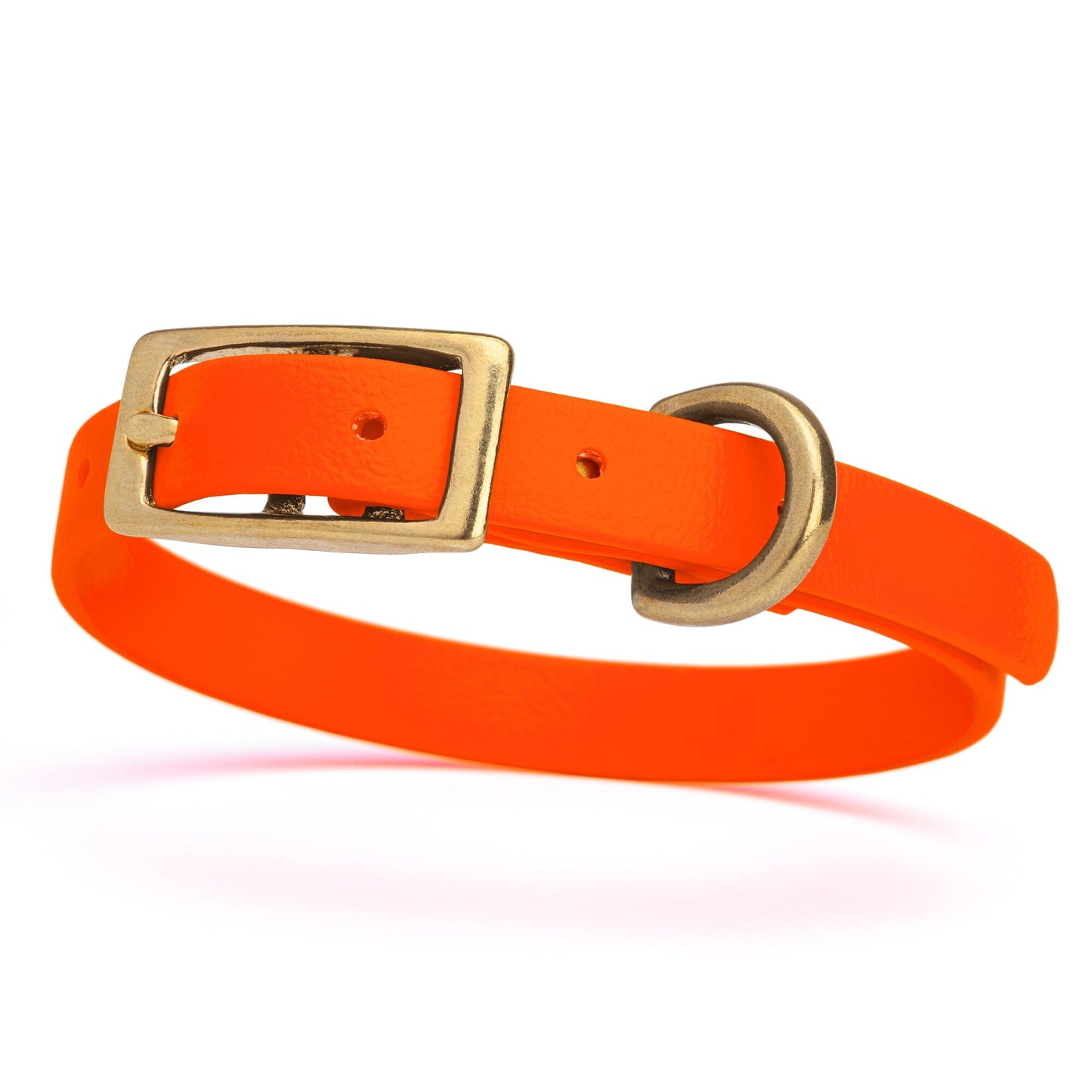 Dogline Viper Biothane Waterproof Dog Collar - Brass Hardware - Size XS (9" - 12")