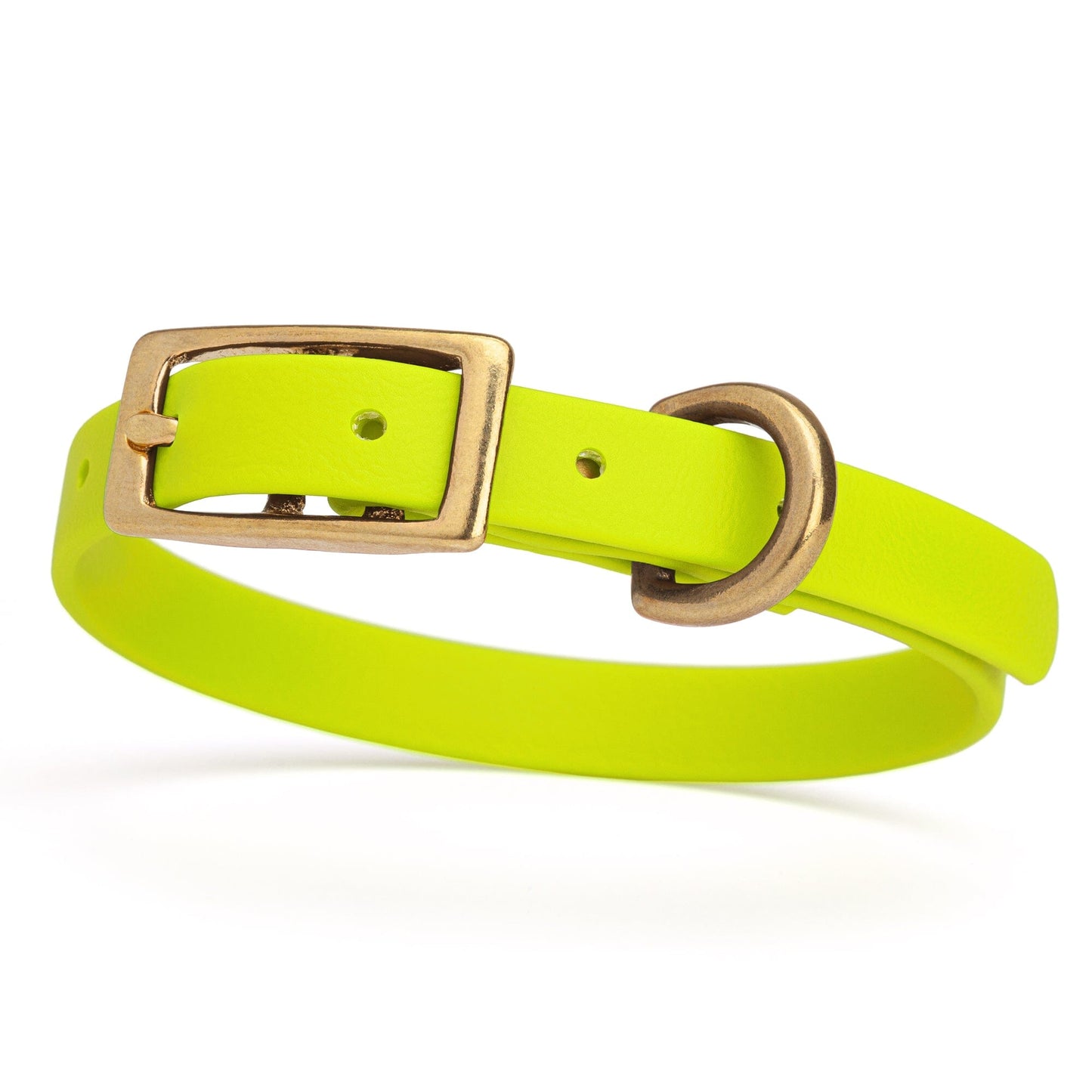 Dogline Viper Biothane Waterproof Dog Collar - Brass Hardware - Size XS (9" - 12")
