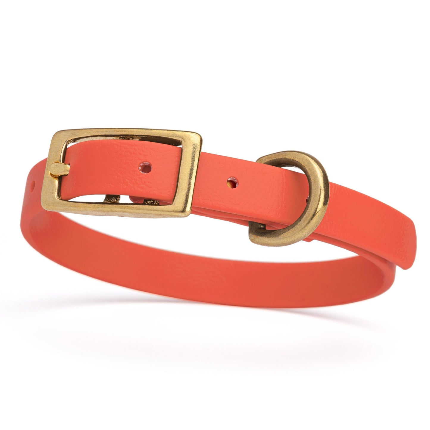 Dogline Viper Biothane Waterproof Dog Collar - Brass Hardware - Size XS (9" - 12")