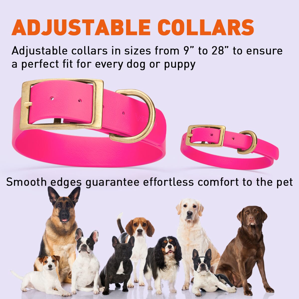 Dogline Viper Biothane Waterproof Dog Collar - Brass Hardware - Size XS (9" - 12")