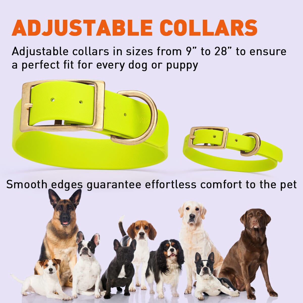 Dogline Viper Biothane Waterproof Dog Collar - Brass Hardware - Wide - Size L (16" - 20")