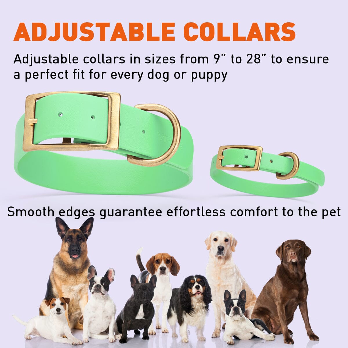 Dogline Viper Biothane Waterproof Dog Collar - Brass Hardware - Wide - Size XL (20" - 24")