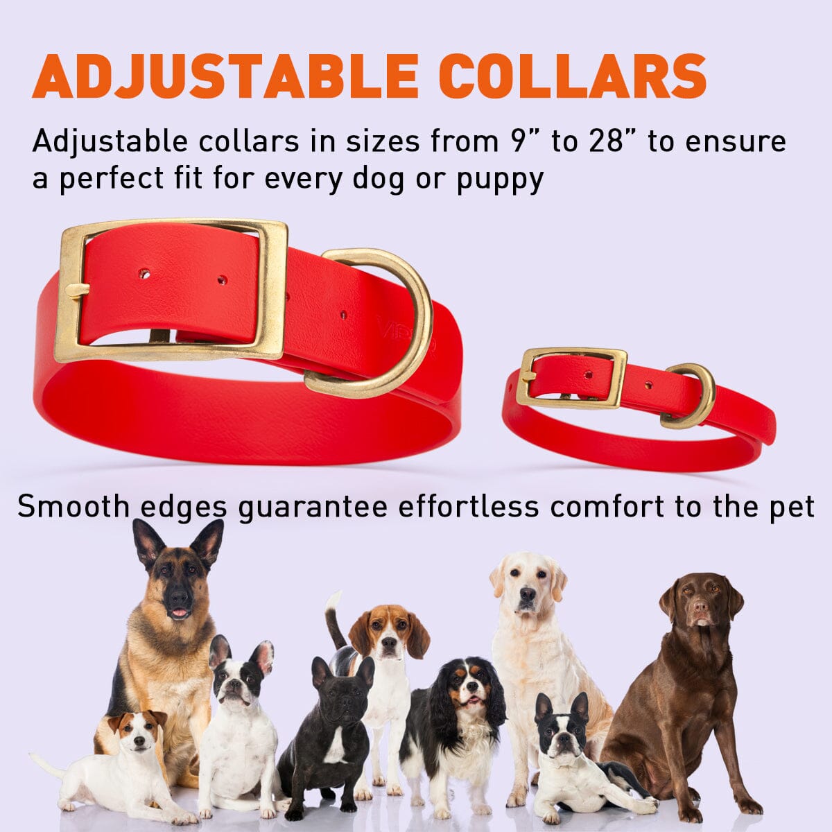 Dogline Viper Biothane Waterproof Dog Collar - Brass Hardware - Wide - Size XXL (24" - 28")