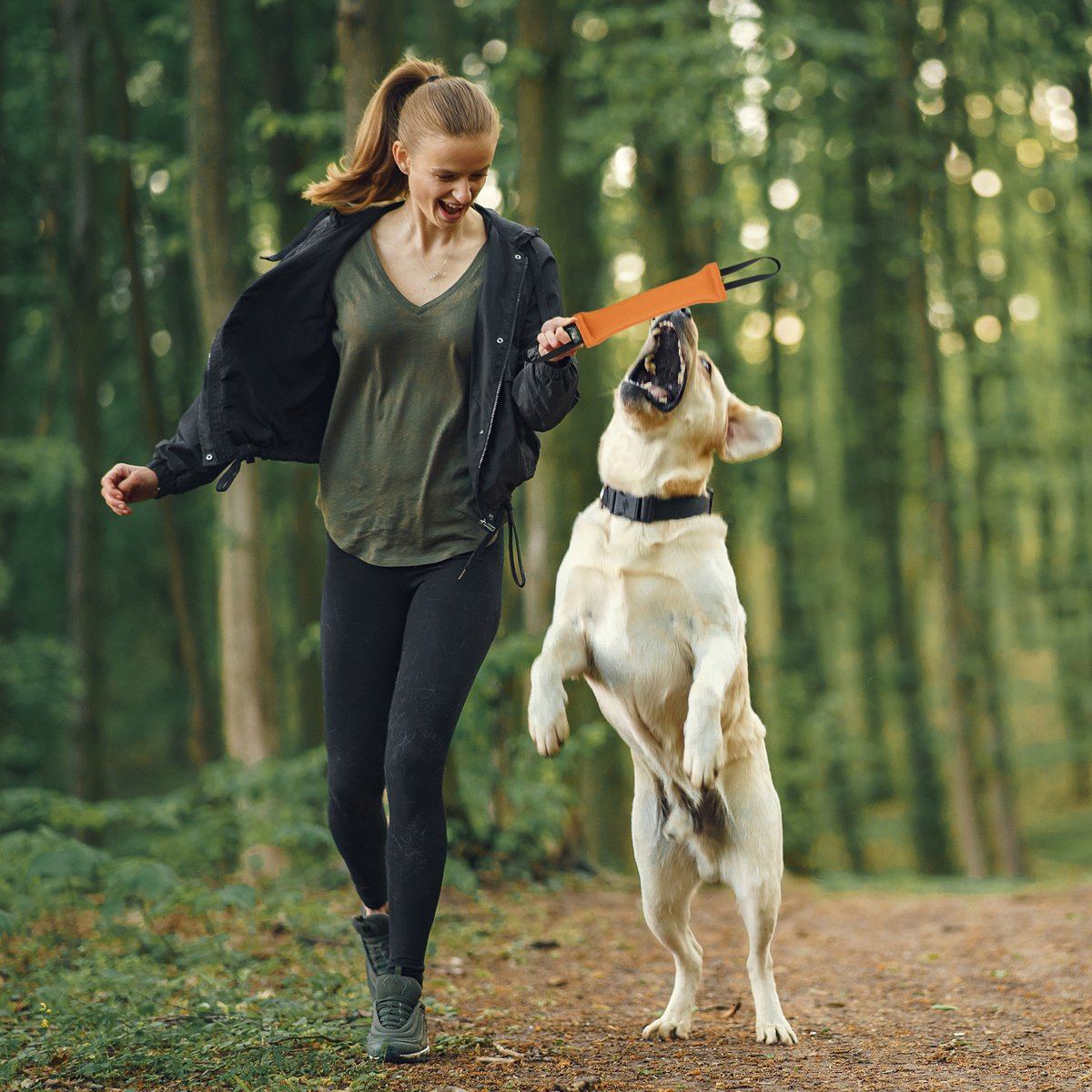 Dogline Viper French Linen Tug