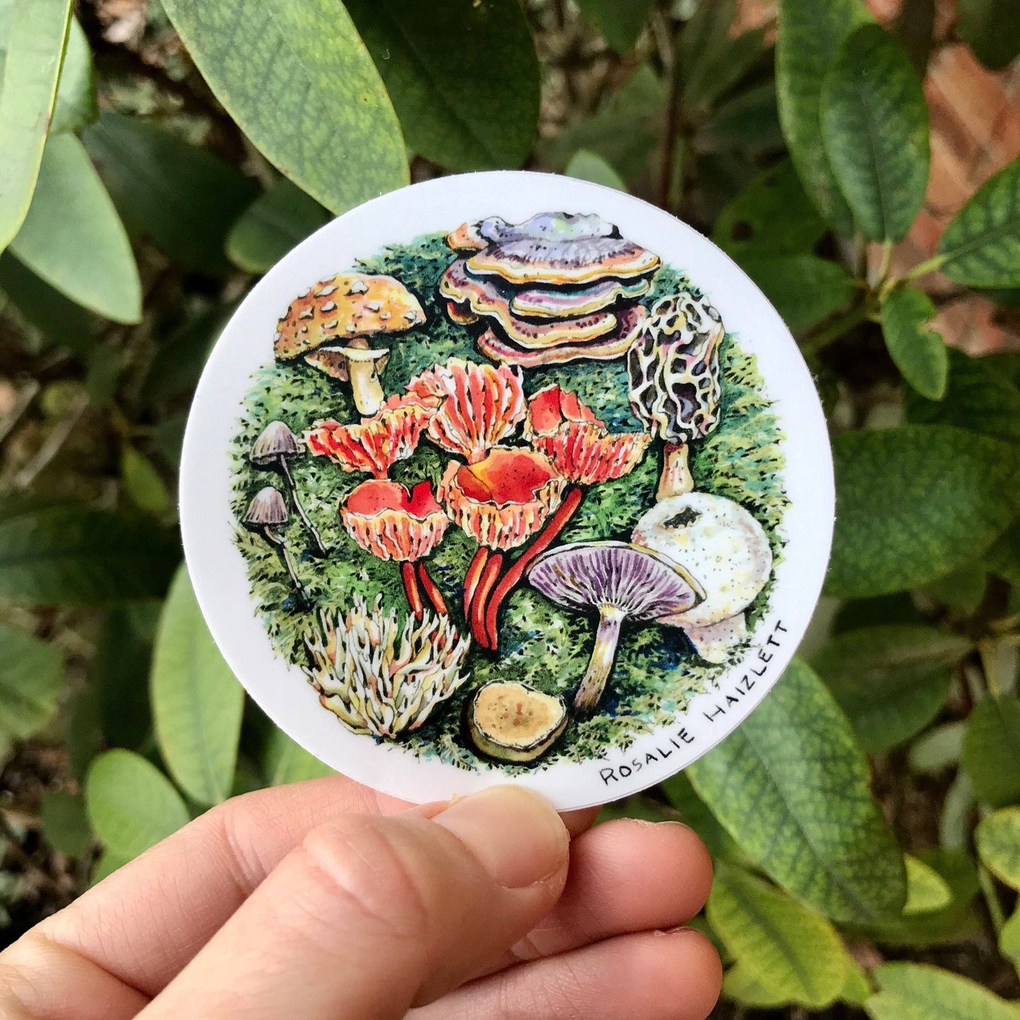 Forest Mushrooms Waterproof Sticker